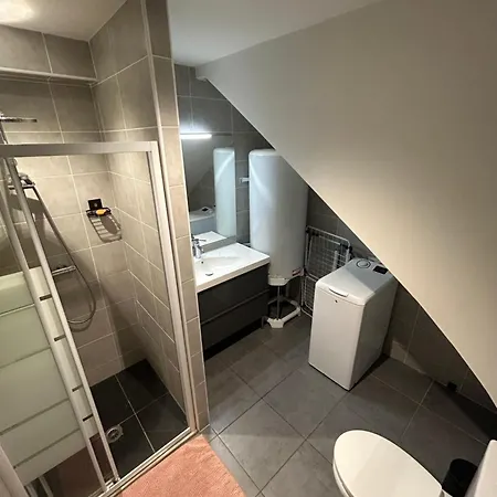 Nid Douillet Proche Ile De Re アパート *